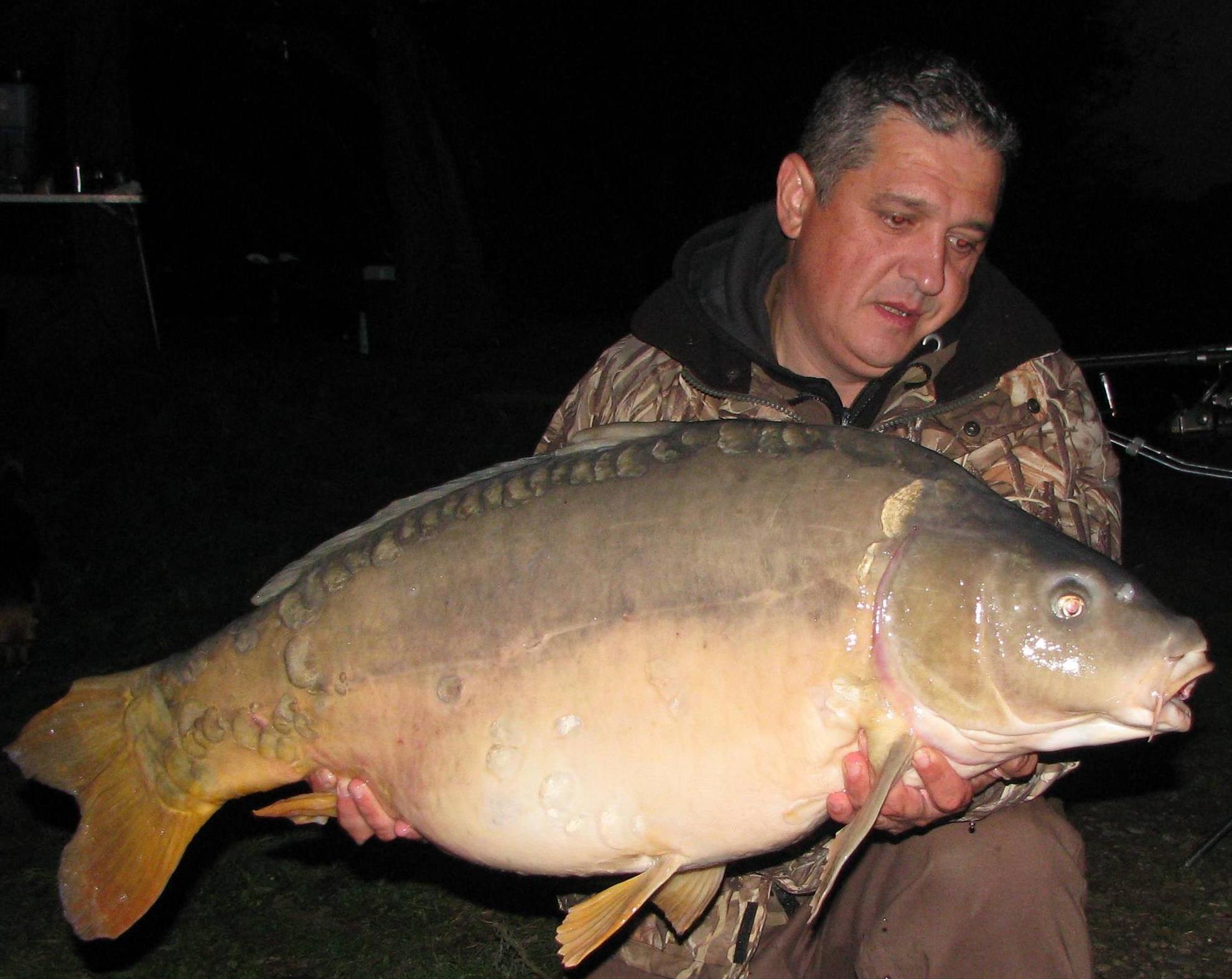 capturi over 20 kg in 2014 - 12 buc. - img1899.JPG